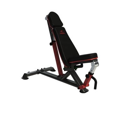Accueil Asseyez-vous Exercice équipement de remise en forme Plaque de pare-chocs pour un renforcement efficace du noyau