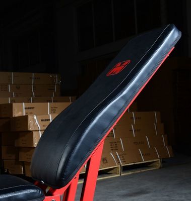 OEM ODM Service revêtement en poudre 2-couche revêtement épais Smith machines avec tous les poids