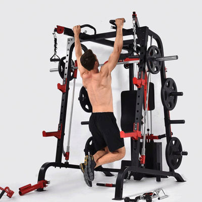 Équipement de gymnastique Machine Smith à fonction multiple gris/noir avec pile de poids pour la maison